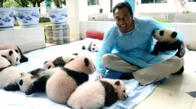 China's Panda Problem: asset-mezzanine-16x9