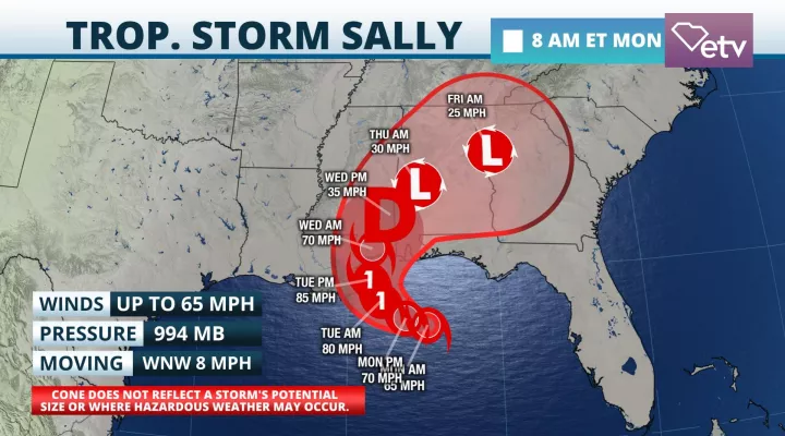 Tropical Storm Sally Cone
