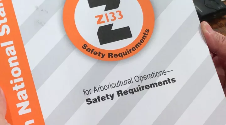 Chainsaw Safety Information