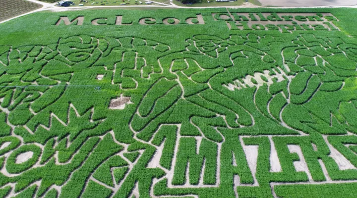 The McLeod Farms Corn Maze "Amazers"