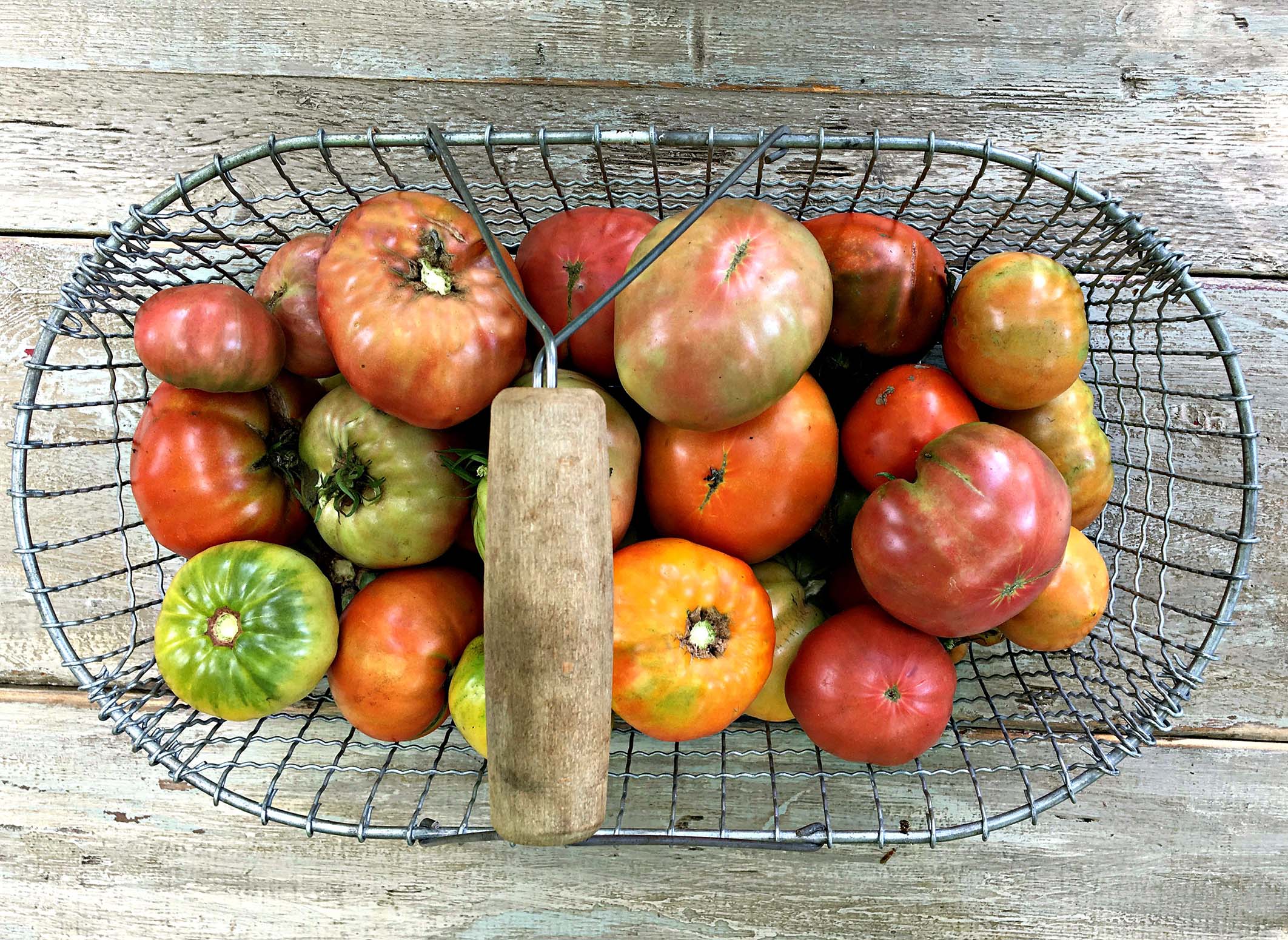 Tomato Basket