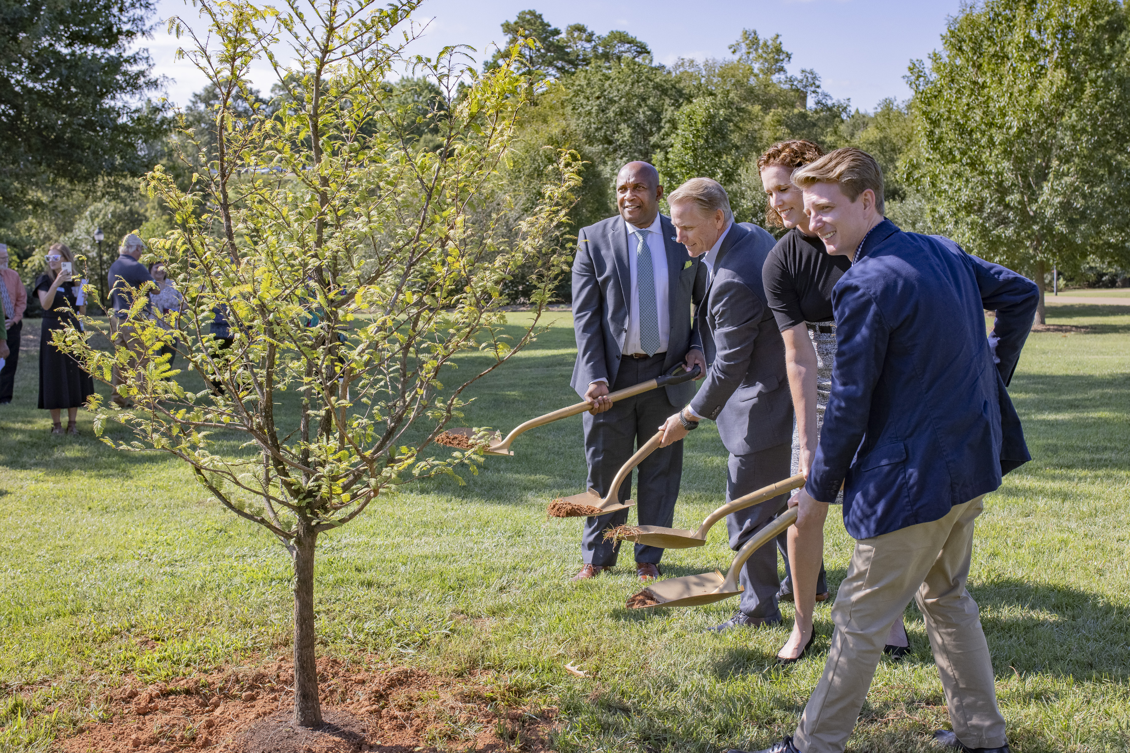 Throwing dirt in planted tree