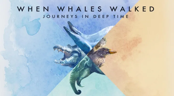 When Whales Walked: Journeys in Deep Time: asset-mezzanine-16x9
