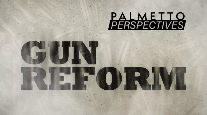 Palmetto Perspectives | Gun Reform: asset-mezzanine-16x9