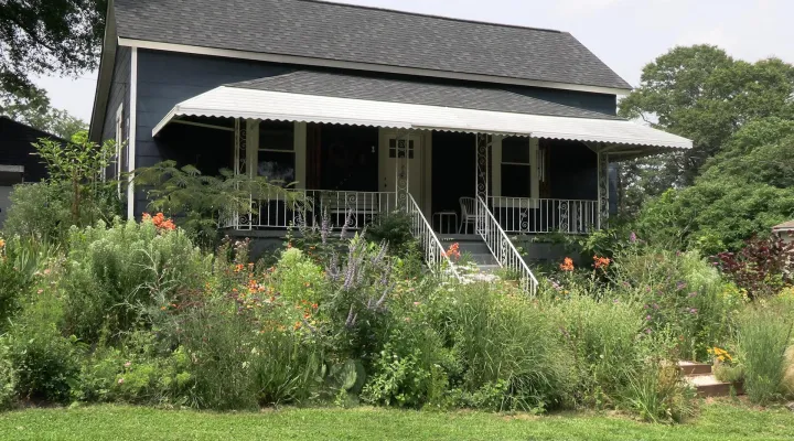 Mary Vargo's Pollinator Garden: asset-mezzanine-16x9