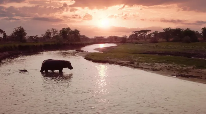 Salvation | Katavi: Africa's Fallen Paradise: asset-mezzanine-16x9