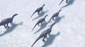 Arctic Dinosaurs: asset-mezzanine-16x9