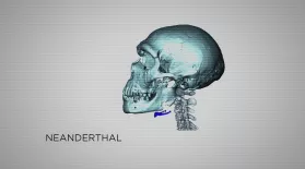 Neanderthal Vocalization: asset-mezzanine-16x9