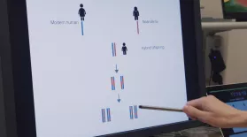 Decoding Neanderthal DNA: asset-mezzanine-16x9