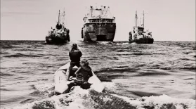 A Dangerous Whale Rescue Mission by Greenpeace: asset-mezzanine-16x9