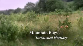 Mountain Bogs – Threatened Heritage: asset-mezzanine-16x9