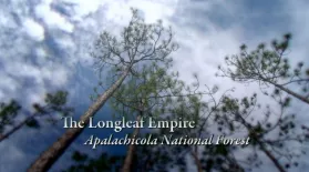 The Longleaf Empire - Appalachicola National Forest: asset-mezzanine-16x9