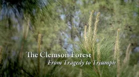 The Clemson Forest – From Tragedy to Triumph: asset-mezzanine-16x9