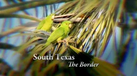 South Texas – The Border: asset-mezzanine-16x9