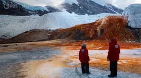 Why is this Antarctic Glacier “Bleeding?”: asset-mezzanine-16x9