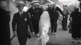 The Boys of '36: The SS Manhattan: asset-mezzanine-16x9