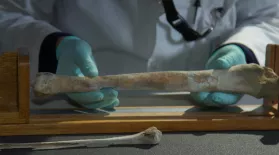 Identifying Lost Crew with Forensics and DNA Analysis: asset-mezzanine-16x9
