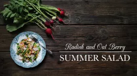 Radish and Oat Berry Summer Salad: asset-mezzanine-16x9