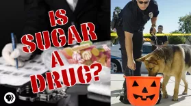 Is Sugar A Drug?: asset-mezzanine-16x9