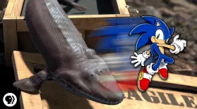 Sonic the Hedgehog Is Why You Have Thumbs!: asset-mezzanine-16x9