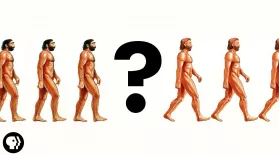 There Was No First Human: asset-mezzanine-16x9
