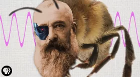 Claude Monet Was Half Honeybee: asset-mezzanine-16x9