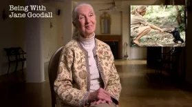 Being with Jane Goodall: asset-mezzanine-16x9