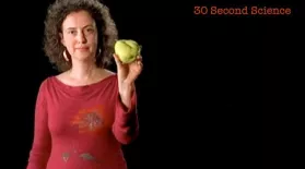 Ina Vandebroek: 30 Second Science: asset-mezzanine-16x9