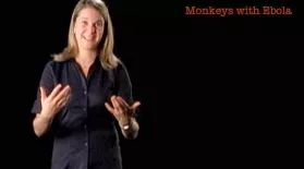 Eva Vertes: Monkeys with Ebola: asset-mezzanine-16x9