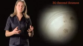 Eva Vertes: 30 Second Science: asset-mezzanine-16x9