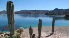 Destination Baja - Preview: asset-mezzanine-16x9
