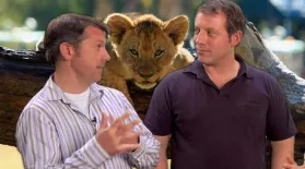 Learning From the Wild with Martin and Chris Kratt: asset-mezzanine-16x9