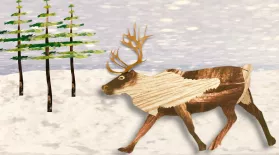 The REAL Rudolph Has Bloody Antlers and Super Vision: asset-mezzanine-16x9