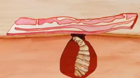 The Strangest Use For Bacon... Ever?: asset-mezzanine-16x9