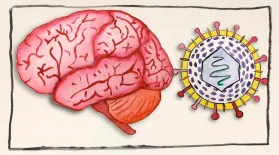 What Can Herpes Do To Your Brain?: asset-mezzanine-16x9
