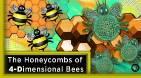 The Honeycombs of 4-Dimensional Bees ft. Joe Hanson: asset-mezzanine-16x9