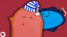 Good Sleep = Good Gut?: asset-mezzanine-16x9