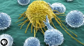 Why Do So Many People Get Cancer?: asset-mezzanine-16x9