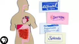 Are Some Sweeteners Better Than Others?: asset-mezzanine-16x9