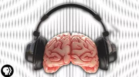 4 Weird Audio Illusions!: asset-mezzanine-16x9