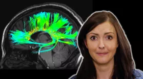 4 Odd Things We've Seen in Your Brain: asset-mezzanine-16x9