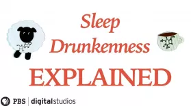 Sleep Drunkenness Explained: asset-mezzanine-16x9