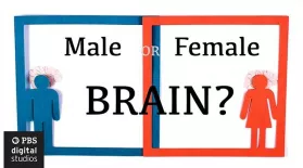 Are Male and Female Brains Different?: asset-mezzanine-16x9