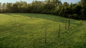 Cahokia’s Celestial Calendar (Woodhenge): asset-mezzanine-16x9