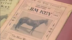 Appraisal: Jim Key Collection, ca. 1900: asset-mezzanine-16x9
