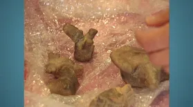 Appraisal: Pre-Columbian Ceramic Fragments: asset-mezzanine-16x9