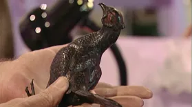Appraisal: Viennese Bronze Bird Figure, ca. 1900: asset-mezzanine-16x9
