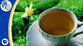 White, Green, Black, and Oolong Tea: What's the Difference?: asset-mezzanine-16x9