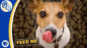 Why Dog Food STINKS!: asset-mezzanine-16x9