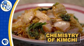 What Makes Kimchi So Delicious?: asset-mezzanine-16x9